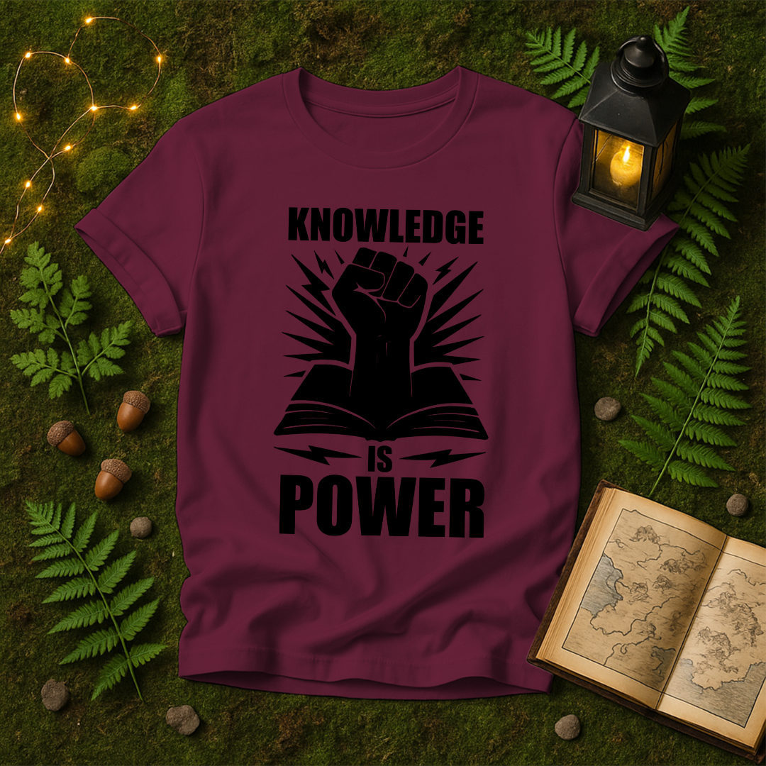 DESIGN 339 - KNOWLEDGE IS POWER