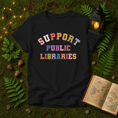 DESIGN 253 - SUPPORT PUBLIC LIBRARIES