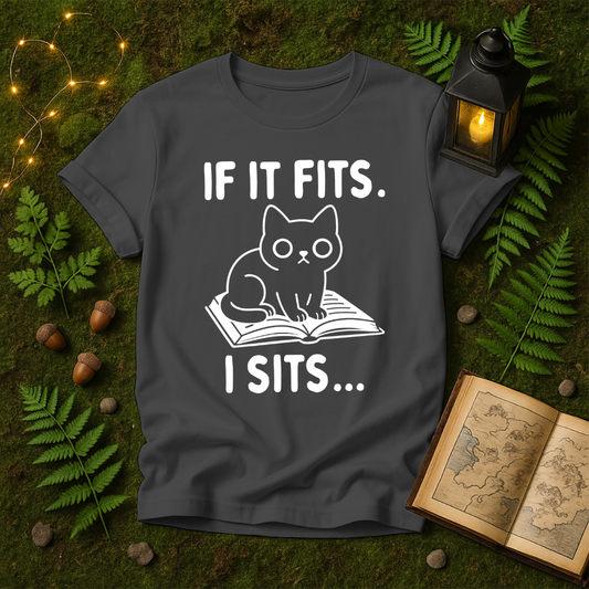 637 - IF IT FITS I SITS