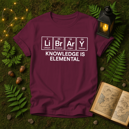 DESIGN 398 - LIBRARY ELEMENTS
