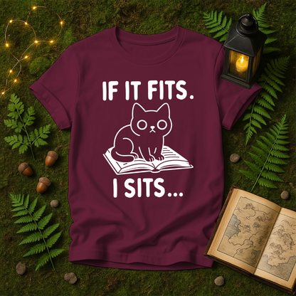 637 - IF IT FITS I SITS