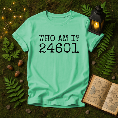 DESIGN 458 -  WHO AM I? 24601