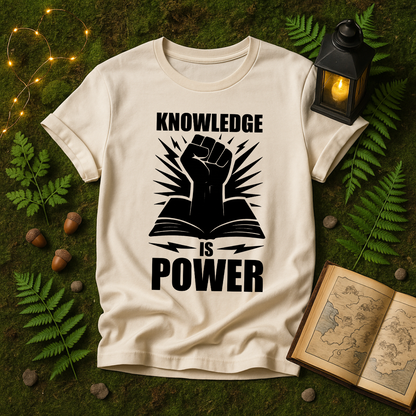 DESIGN 339 - KNOWLEDGE IS POWER