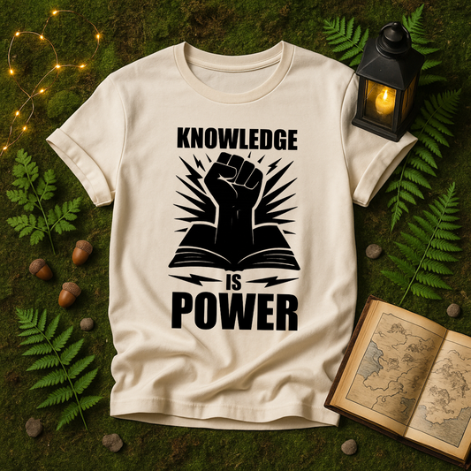 DESIGN 339 - KNOWLEDGE IS POWER